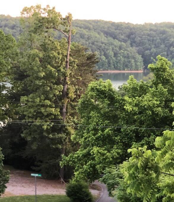 Driftwood Cottage With Hot Tub On Lake Cumberland Russell Springs Eksteriør billede